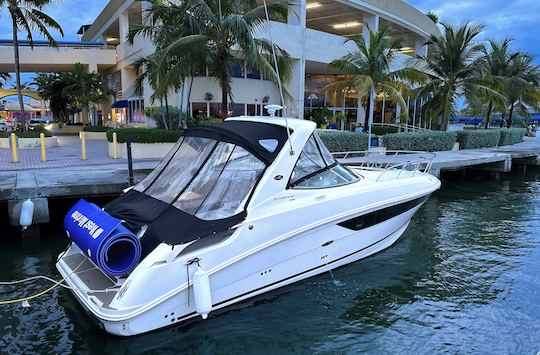 Hermoso yate Sea Ray 310 Sundancer