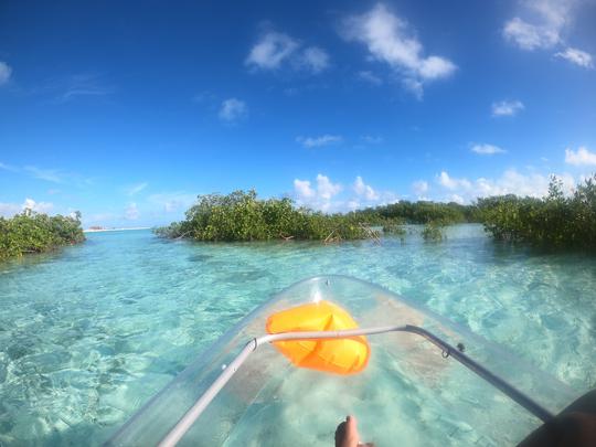 Clear Kayak Mangrove Cay Eco Venture 2-hour tour