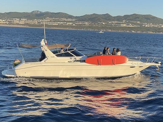 Sea Ray 42 Sea Brothers Yacht in Cabo San Lucas, Mexico