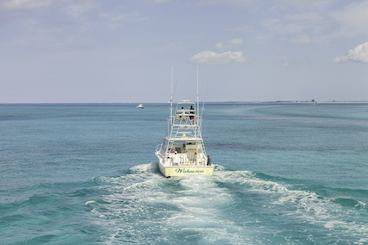 Croisière de pêche en haute mer de 6 h sur les îles Turques et Caïques de « Wahooter »