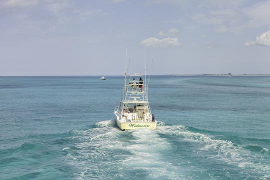 Charter de pesca en alta mar de 6 horas en las Islas Turcas y Caicos «Wahooter»