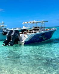 Nassau: Island Hopping, Snorkeling, Swimming Pigs Adventure and Private Tour