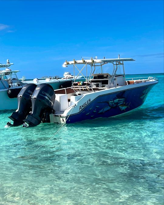 Nassau: Island Hopping, Snorkeling, Swimming Pigs Adventure and Private Tour