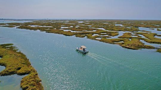 Passeio de barco privado na Ria Formosa saindo de Faro