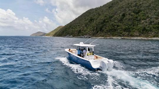 Sightsee and Snorkel by Boat in the US Virgin Islands - Private Full Day 