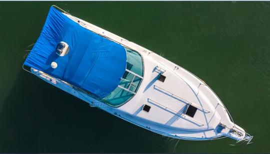 Le charmant Sea Ray de 32 pieds, en croisière d'une journée dans le Pacifique.