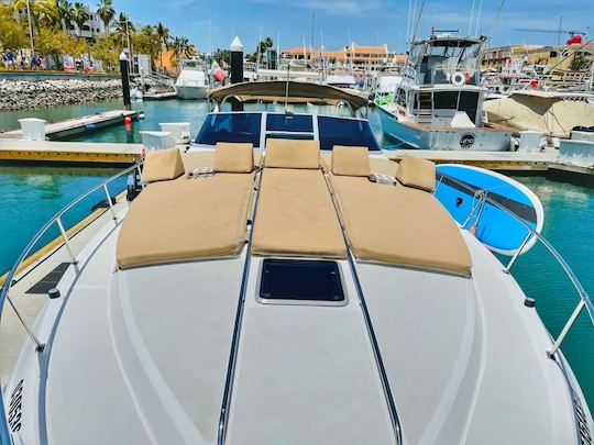 Beautiful sea ray 42Ft ready for you