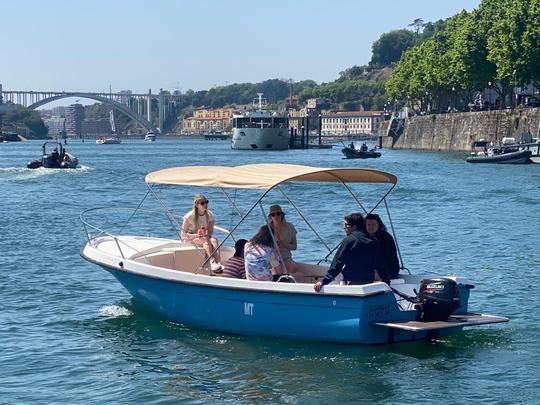 6 excursiones en barco por el río Pontes Douro