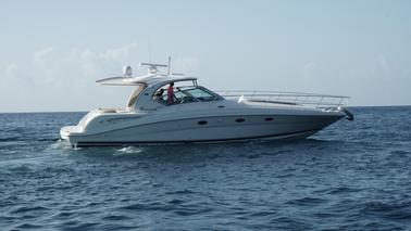 Sea ray 42 in Country House