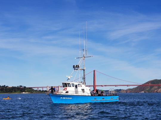 Right in the heart of San Francisco’s Fisherman’s Wharf