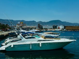 Gorgeous Sea Ray 42ft Motor Yacht