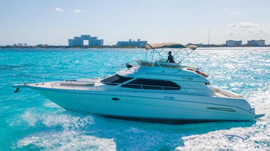 Sea Ray Flybridge 51 pieds Cancún, Quintana Roo