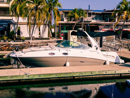 Yacht à moteur Sea Ray Sundancer de 26 pieds 