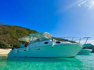 Wellcraft 30 Motor Yacht In Icacos and Palomino Islands