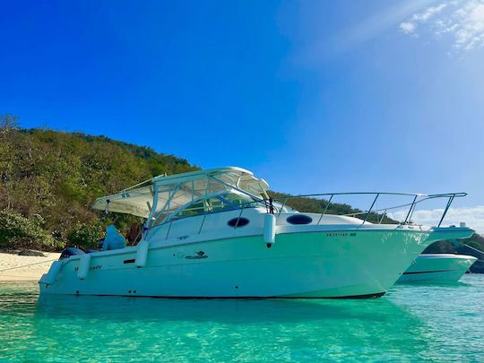 Yacht à moteur Wellcraft 30 dans les îles Icacos et Palomino