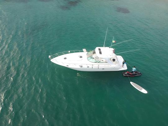 Experiencia de lujo en un yate crucero de 44 pies | La Cruz de Huanacaxtle (incluye comida)