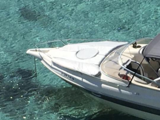 Paseo en barco con patrón