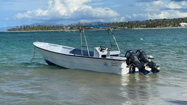 Boat Tours Las Terrenas On 33ft Profina Powerboat