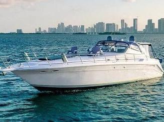 Enjoy Miami with the SEARAY SUNDANCER 51FT!!!