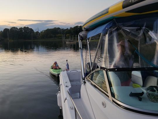 La versátil ProLine 22WA hace que sea fácil pasar un buen rato en la bahía