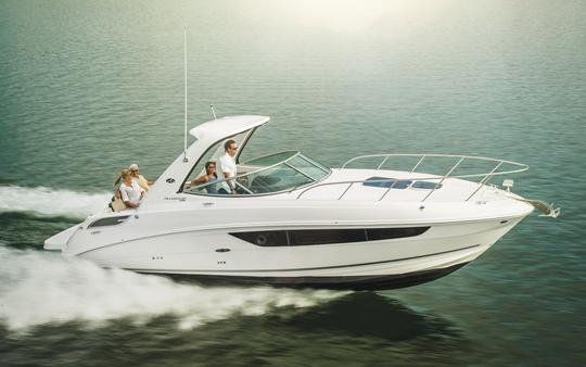 Hermoso yate Sea Ray 310 Sundancer