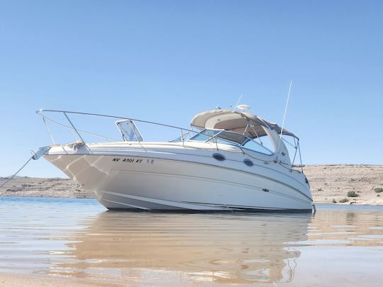 Unleash Adventure: alquiler de un lujoso barco Sun Dancer 280 en el lago Mead