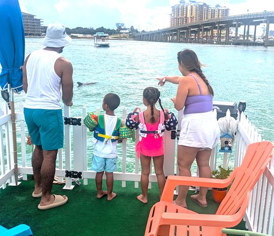 The "Original Redneck Pontoon" Crab Island / Dolphin / Snorkeling Adventures