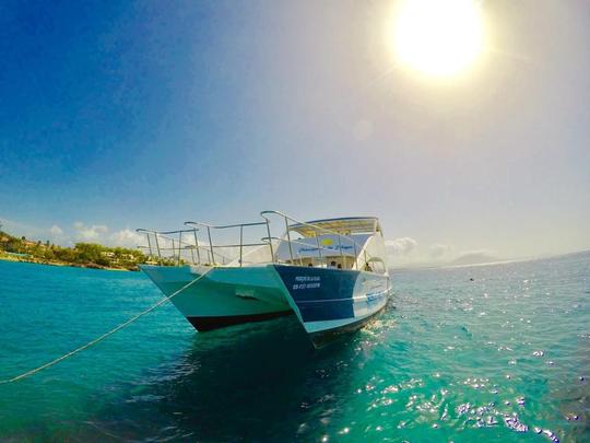 Private Boat Tour for Group