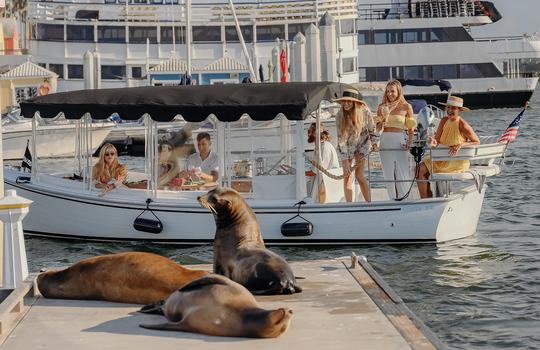 Barco elétrico Duffy de luxo de 22 pés com capitão | Marina del Rey, Los Angeles