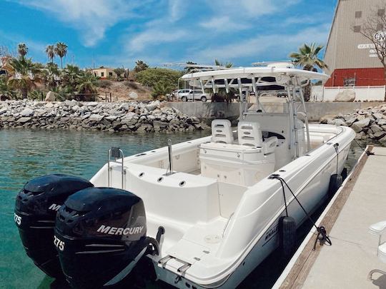 Boston Whaler- Outrage 320 MotorBoat for the best day at La Paz.