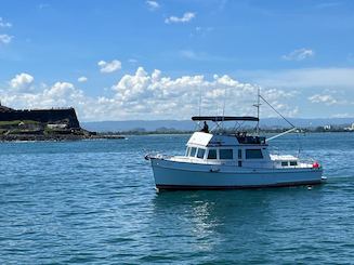 Sunset Private Food Tasting Cruise | San Juan Bay