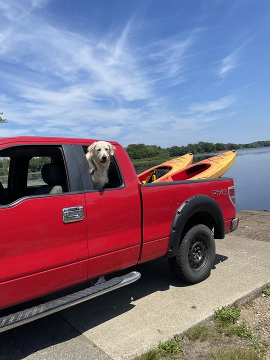 Canyon 10ft Kayaks available for rental in Weymouth