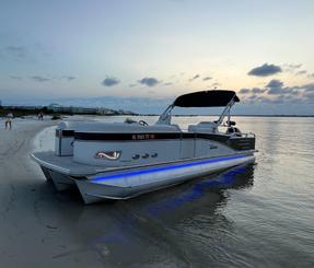 Beautiful Tritoon cruiser! Dolphin 🐬 Cruises, Sand bar fun! 🏖️