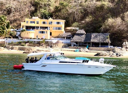 460 Sea Ray Sundancer, cruzeiro de iate casual em Puerto Vallarta