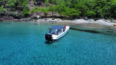 Private Snorkel and Sightseeing Tour with Formula 31 PC Boat