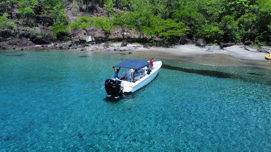 Private Snorkeling and Sightseeing Tour with Formula 31’ Boat