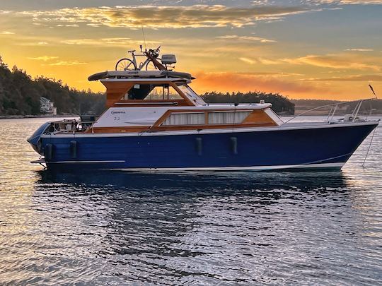 Classic Wooden 35ft Cruiser, perfect for a wildlife or sunset champagne cruise! 