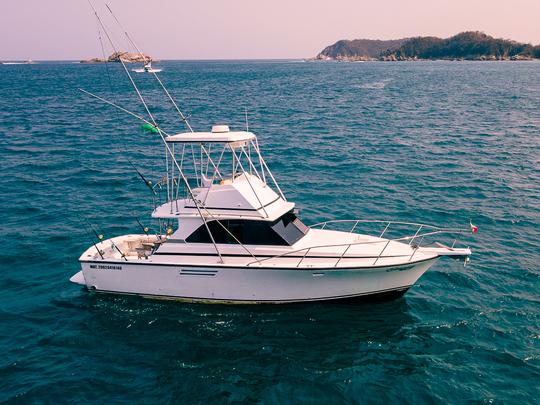 Omega Motor Yacht 35ft in Huatulco