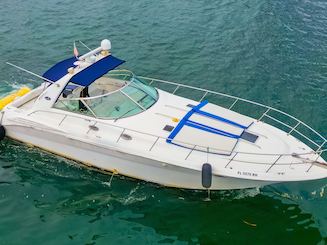 Enjoy Miami with the Sundancer 44ft Motor Yacht!!!