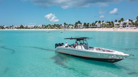 Tour en barco de 2 horas por Terres Basses