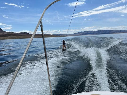 Lindo 2600 EBBTIDE CBR perfeito para organizar festas 🕺 e esportes aquáticos 🏄‍♂️