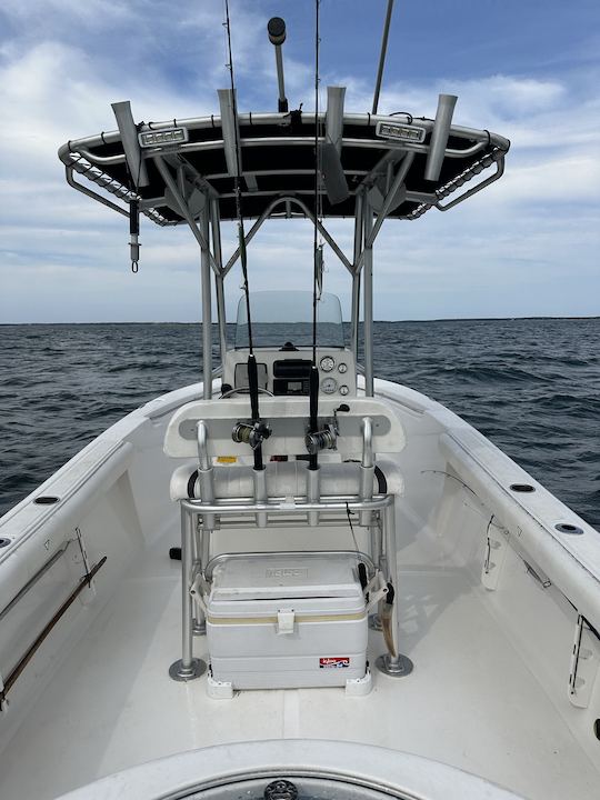 23ft Seafox Center Console for Fishing Adventure  