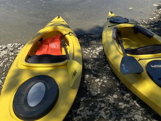 Canyon 10ft Kayaks available for rental in Weymouth