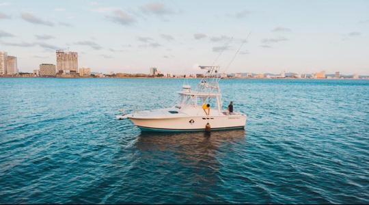 Iate a motor Luhrs de 31 pés para férias incríveis em Mazatlan