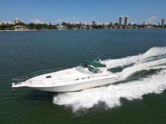 Yacht de 50 pieds SeaRay Sundancer ! Votre meilleur moment à Miami sera avec nous !