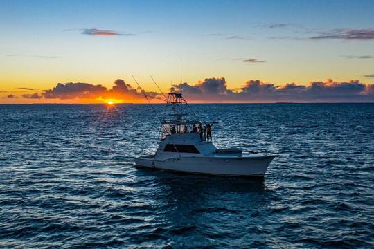 Ultimate Fishing Adventure: 53ft Hatteras Fishing Charter from Casa de Campo