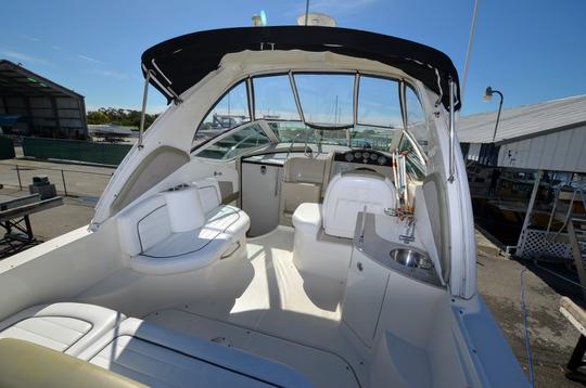 31' Sea Ray Sundancer Captained Charter Kirkland