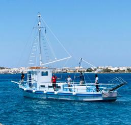 Paroikia Bay Maria T 3h Boat Trip (10:30-13:30)