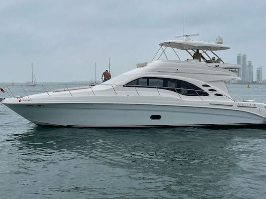 Enjoy Cartagena on a Beautiful 60ft Sea Ray Motor Yacht!