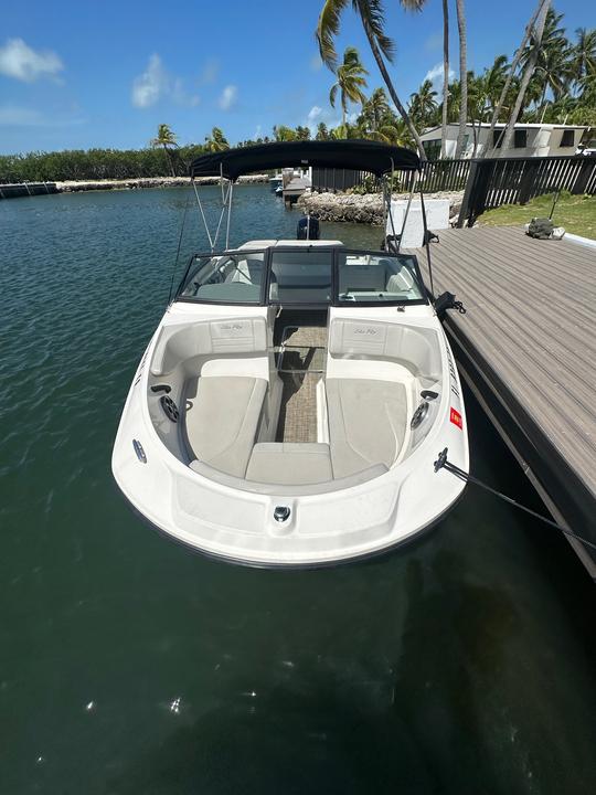 Navegue e explore as águas de Islomorada com nosso Searay Bowrider!